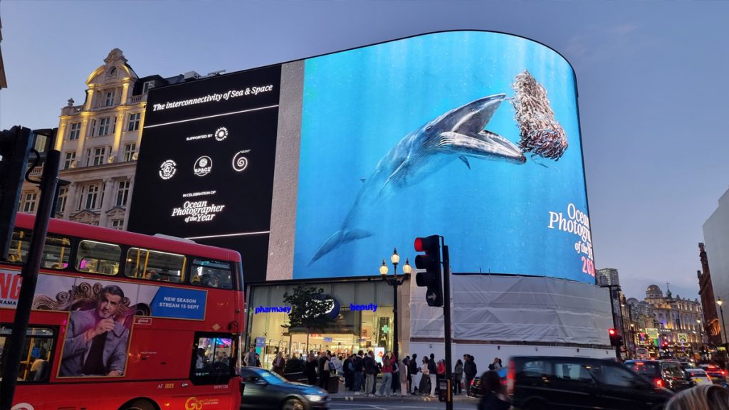 Rafael Fernández Caballero -submarinista, fotógrafo y embajador de la marca Alpina- es nombrado Ocean Photographer of the Year 2024